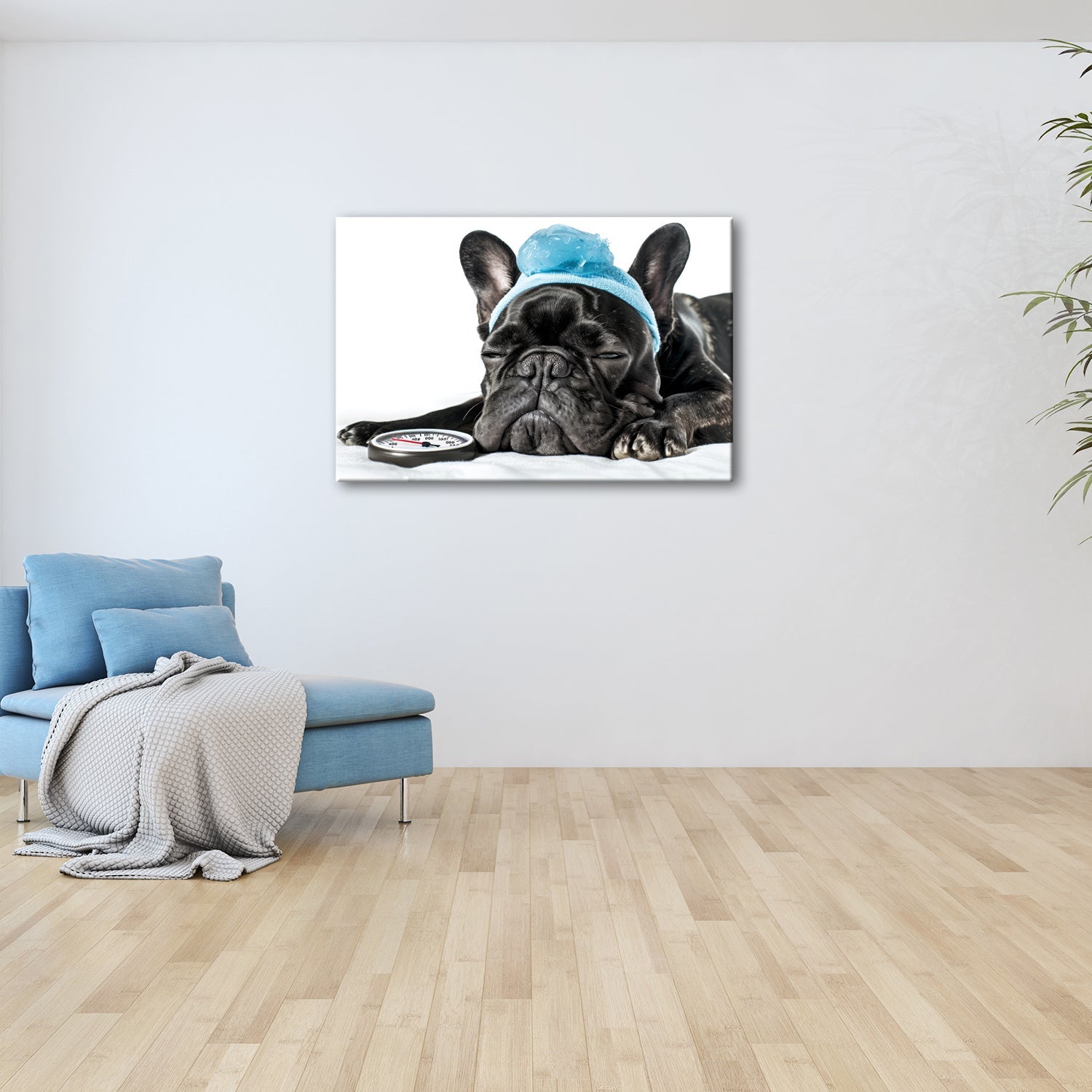 Leinwandbild Müder Mops mit Fieber – Ruhe heilt auf vier Pfoten. - deyoli