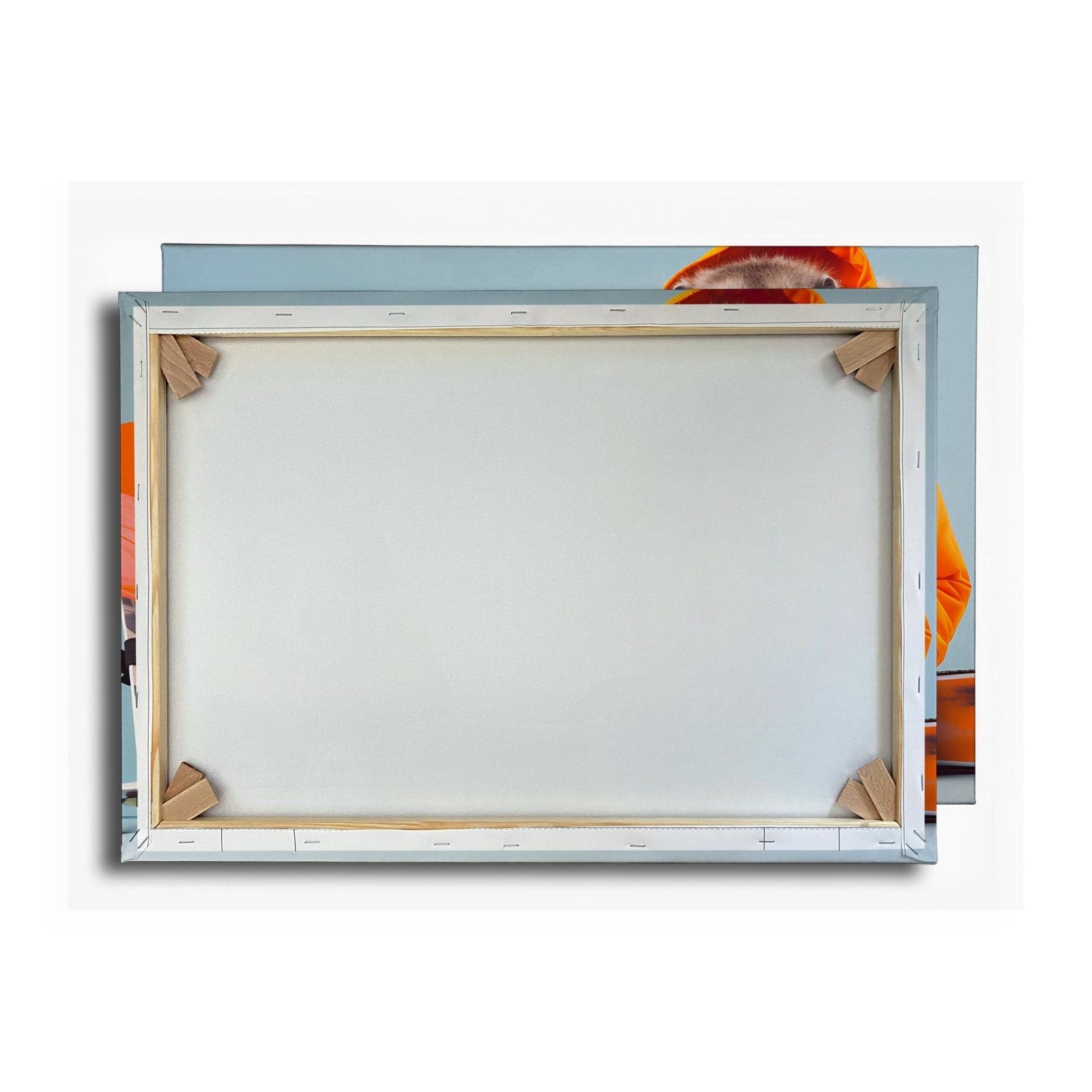 Leinwandbild Murmeltier - Duo bereit für den großen Pistenabflug. - deyoli