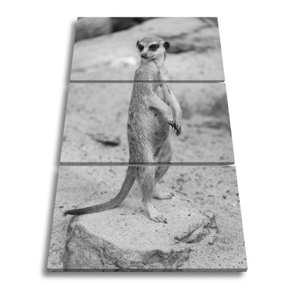Leinwandbild Mutiger Blick, bereit für jedes Abenteuer - deyoli