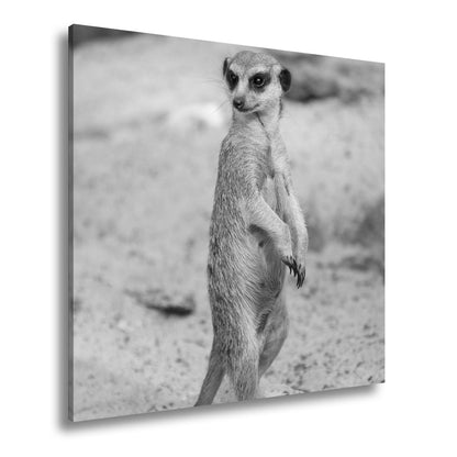Leinwandbild Mutiger Blick, bereit für jedes Abenteuer - deyoli