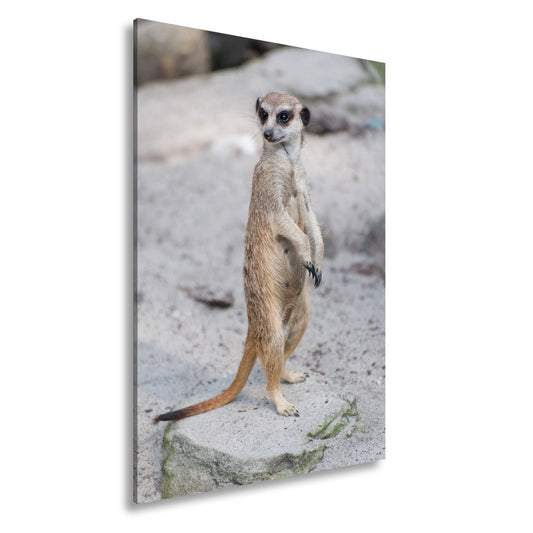 Leinwandbild Mutiger Blick, bereit für jedes Abenteuer - deyoli