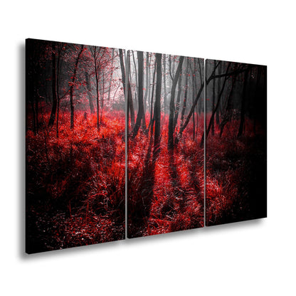 Leinwandbild Mystischer Wald, rot glühendes Gras im Nebelschimmer - deyoli
