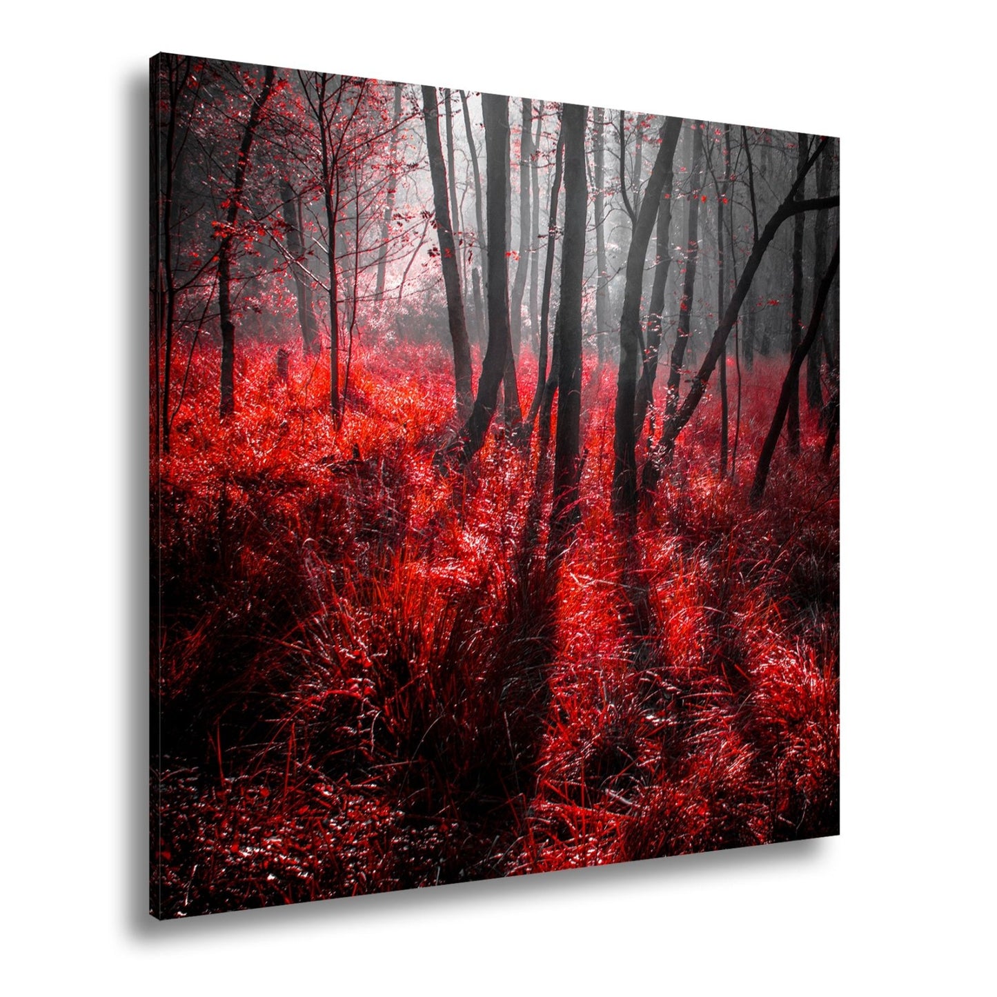 Leinwandbild Mystischer Wald, rot glühendes Gras im Nebelschimmer - deyoli