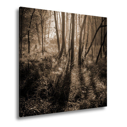Leinwandbild Mystischer Wald, rot glühendes Gras im Nebelschimmer - deyoli