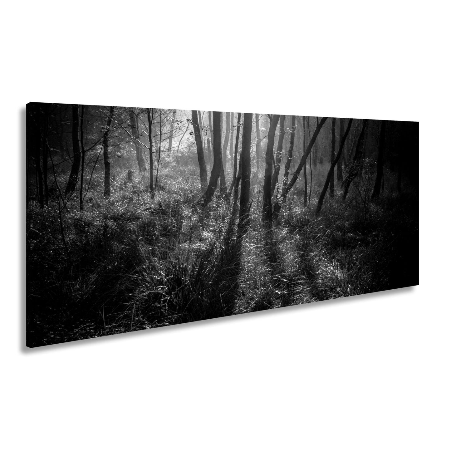 Leinwandbild Mystischer Wald, rot glühendes Gras im Nebelschimmer - deyoli