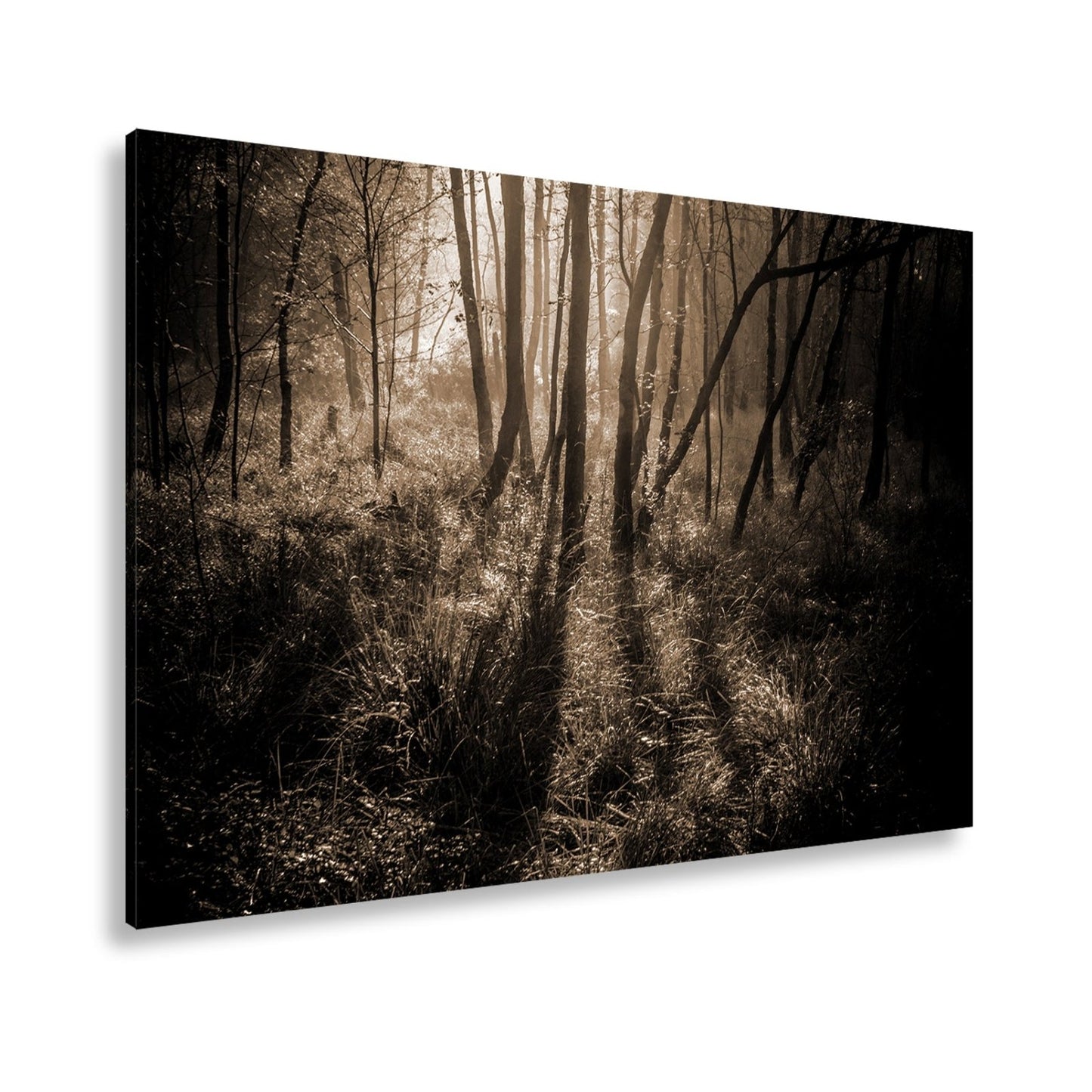 Leinwandbild Mystischer Wald, rot glühendes Gras im Nebelschimmer - deyoli