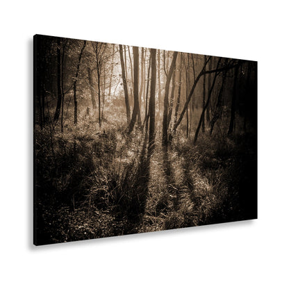 Leinwandbild Mystischer Wald, rot glühendes Gras im Nebelschimmer - deyoli