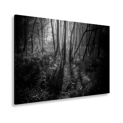 Leinwandbild Mystischer Wald, rot glühendes Gras im Nebelschimmer - deyoli