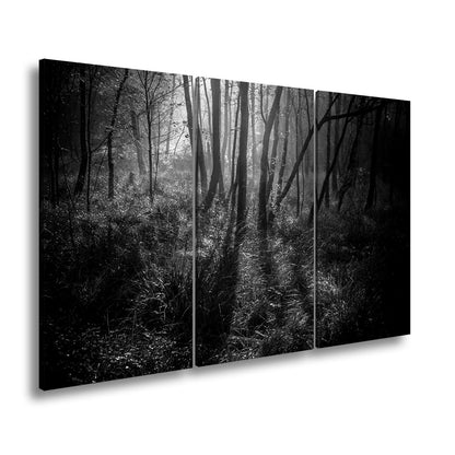 Leinwandbild Mystischer Wald, rot glühendes Gras im Nebelschimmer - deyoli
