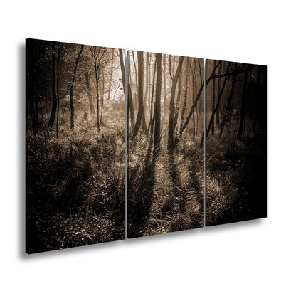 Leinwandbild Mystischer Wald, rot glühendes Gras im Nebelschimmer - deyoli