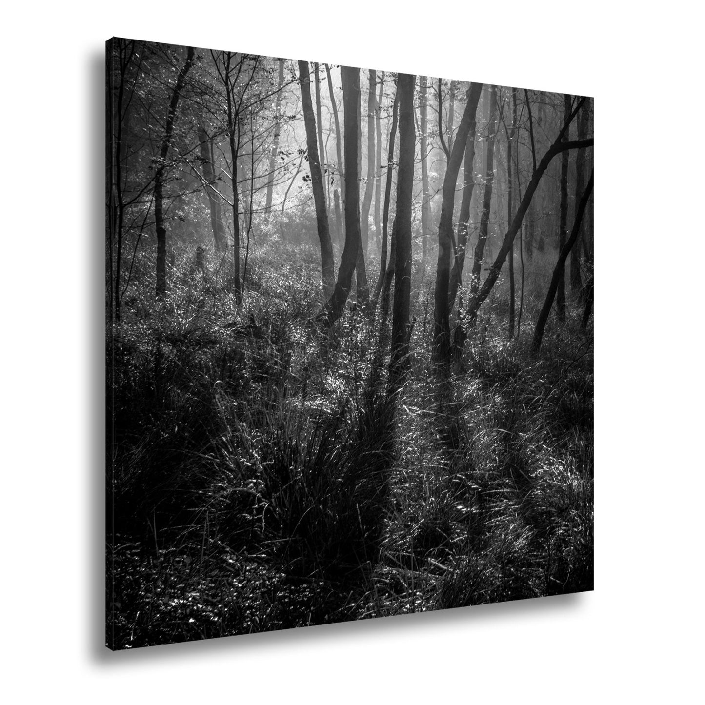 Leinwandbild Mystischer Wald, rot glühendes Gras im Nebelschimmer - deyoli