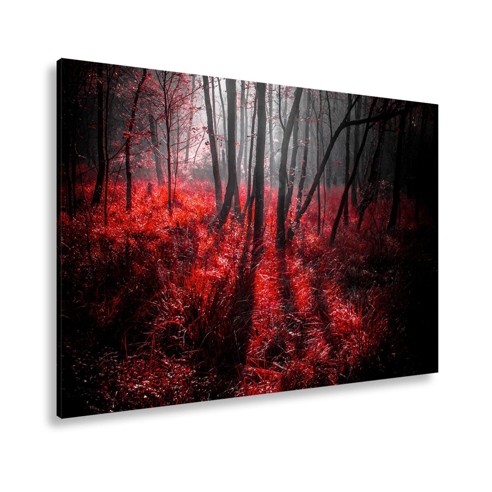 Leinwandbild Mystischer Wald, rot glühendes Gras im Nebelschimmer - deyoli