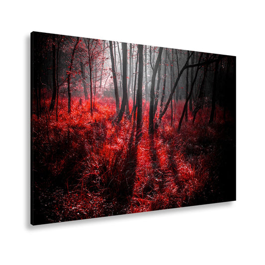 Leinwandbild Mystischer Wald, rot glühendes Gras im Nebelschimmer - deyoli