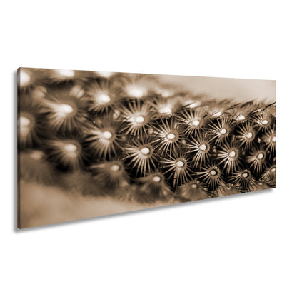 Leinwandbild Natur XXL – Makrozauber Leuchtende Dornen & Naturdetails - deyoli