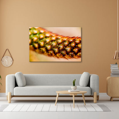 Leinwandbild Natur XXL – Makrozauber Leuchtende Dornen & Naturdetails - deyoli