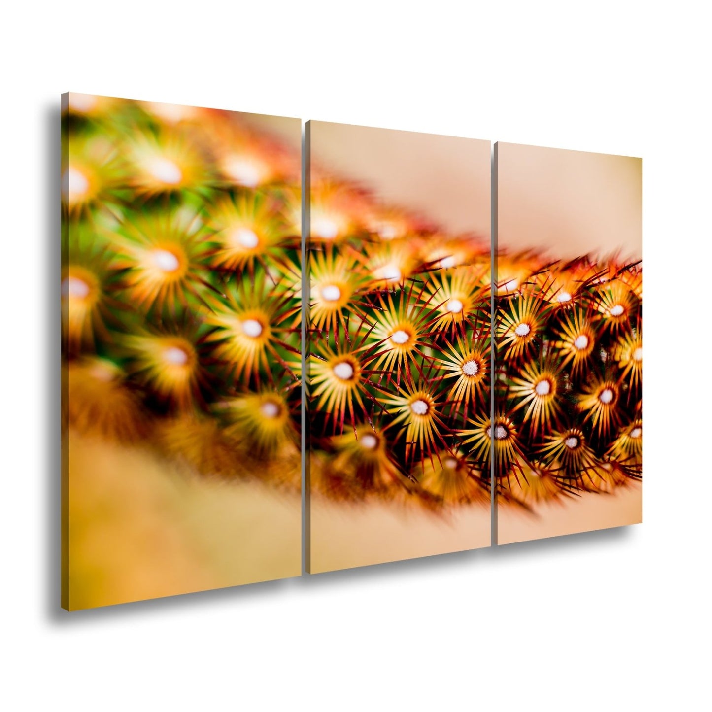 Leinwandbild Natur XXL – Makrozauber Leuchtende Dornen & Naturdetails - deyoli