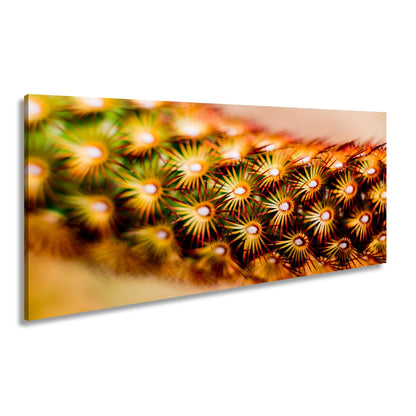 Leinwandbild Natur XXL – Makrozauber Leuchtende Dornen & Naturdetails - deyoli