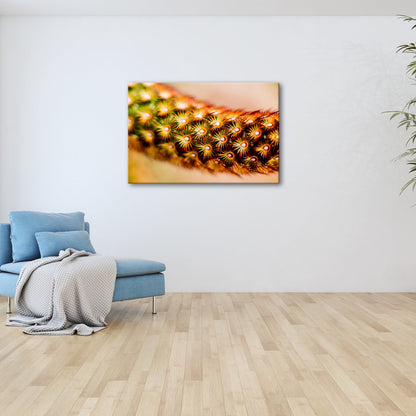 Leinwandbild Natur XXL – Makrozauber Leuchtende Dornen & Naturdetails - deyoli