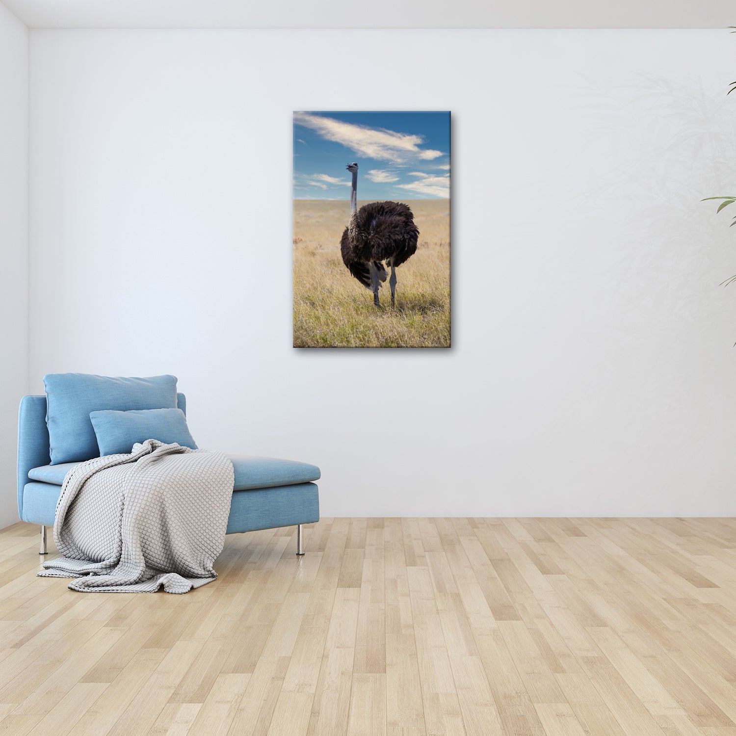 Leinwandbild Neugieriger Strauß im goldenen Savannengras XXL – Wildtiere Afrika - deyoli