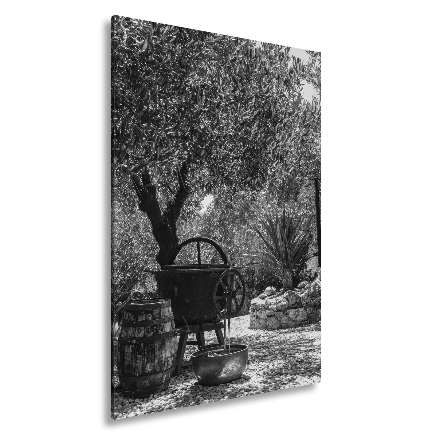 Leinwandbild Olivenhain XXL – Mediterran mit rustikaler Ölpressromantik - deyoli