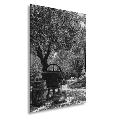 Leinwandbild Olivenhain XXL – Mediterran mit rustikaler Ölpressromantik - deyoli