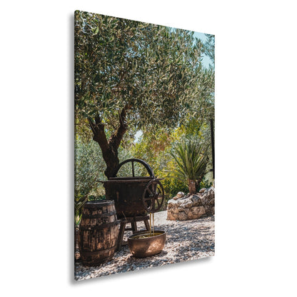 Leinwandbild Olivenhain XXL – Mediterran mit rustikaler Ölpressromantik - deyoli