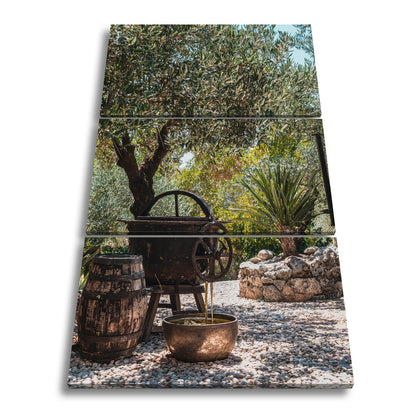 Leinwandbild Olivenhain XXL – Mediterran mit rustikaler Ölpressromantik - deyoli