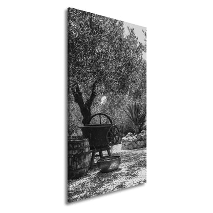 Leinwandbild Olivenhain XXL – Mediterran mit rustikaler Ölpressromantik - deyoli