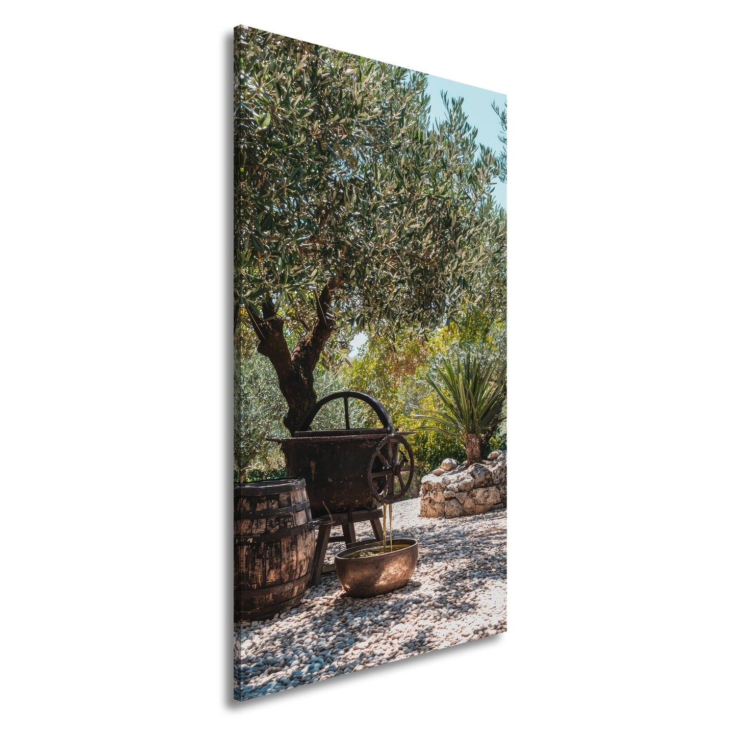 Leinwandbild Olivenhain XXL – Mediterran mit rustikaler Ölpressromantik - deyoli