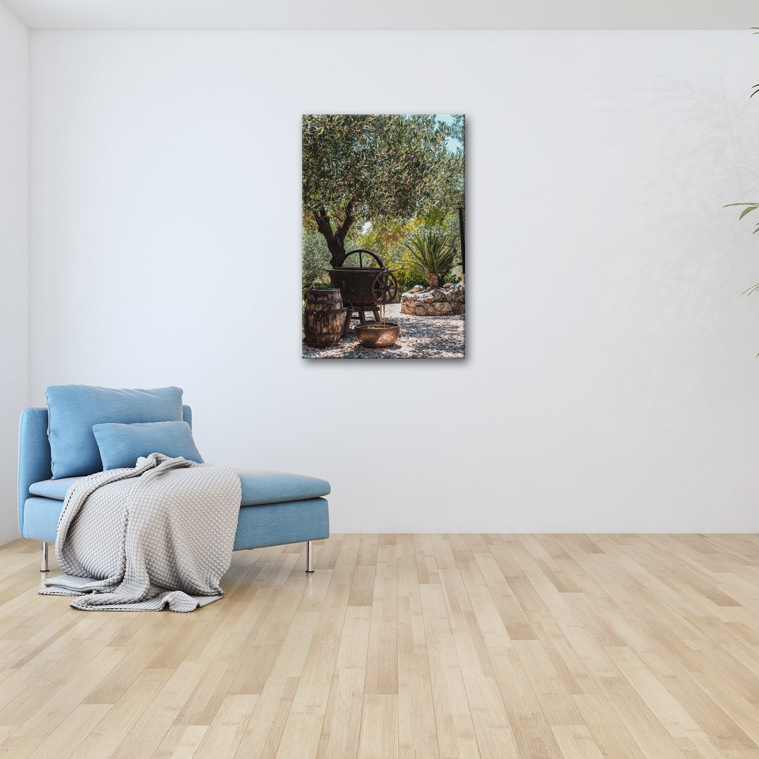 Leinwandbild Olivenhain XXL – Mediterran mit rustikaler Ölpressromantik - deyoli