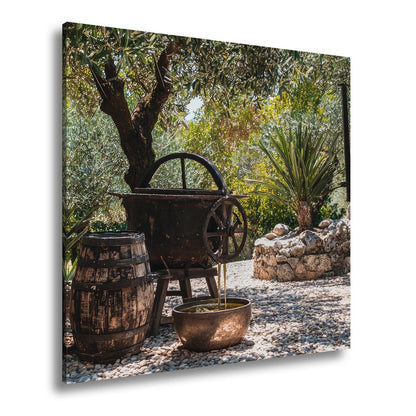 Leinwandbild Olivenhain XXL – Mediterran mit rustikaler Ölpressromantik - deyoli