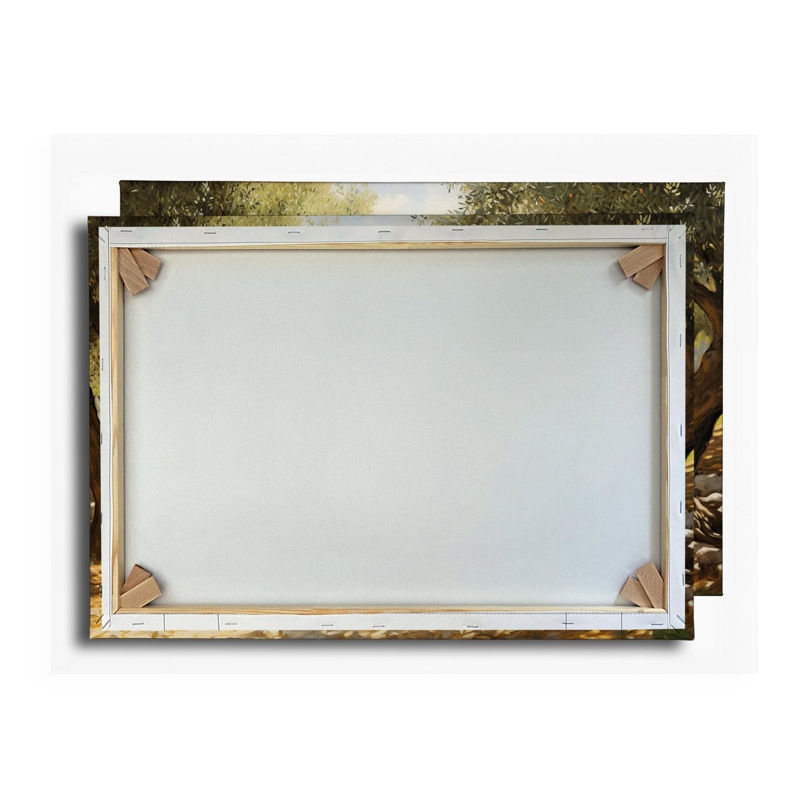 Leinwandbild Olivenhain XXL – Sonnendurchflutet voller mediterraner Ruhe - deyoli