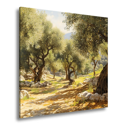 Leinwandbild Olivenhain XXL – Sonnendurchflutet voller mediterraner Ruhe - deyoli