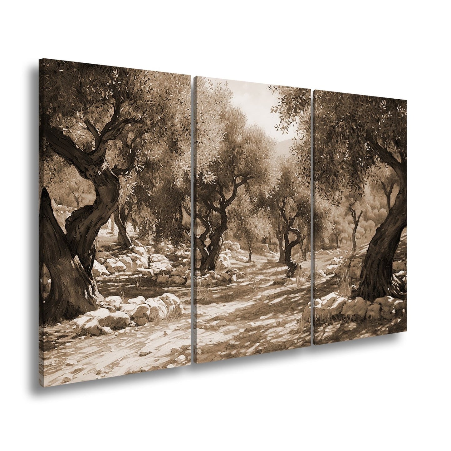 Leinwandbild Olivenhain XXL – Sonnendurchflutet voller mediterraner Ruhe - deyoli