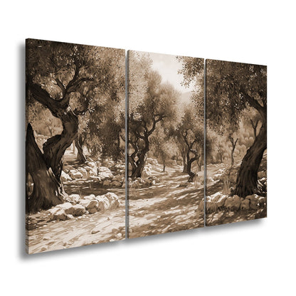 Leinwandbild Olivenhain XXL – Sonnendurchflutet voller mediterraner Ruhe - deyoli