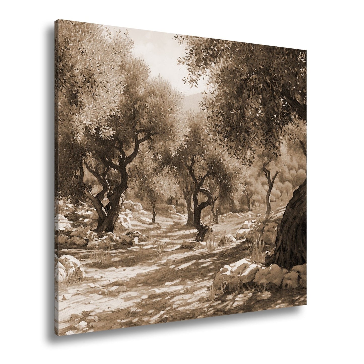 Leinwandbild Olivenhain XXL – Sonnendurchflutet voller mediterraner Ruhe - deyoli