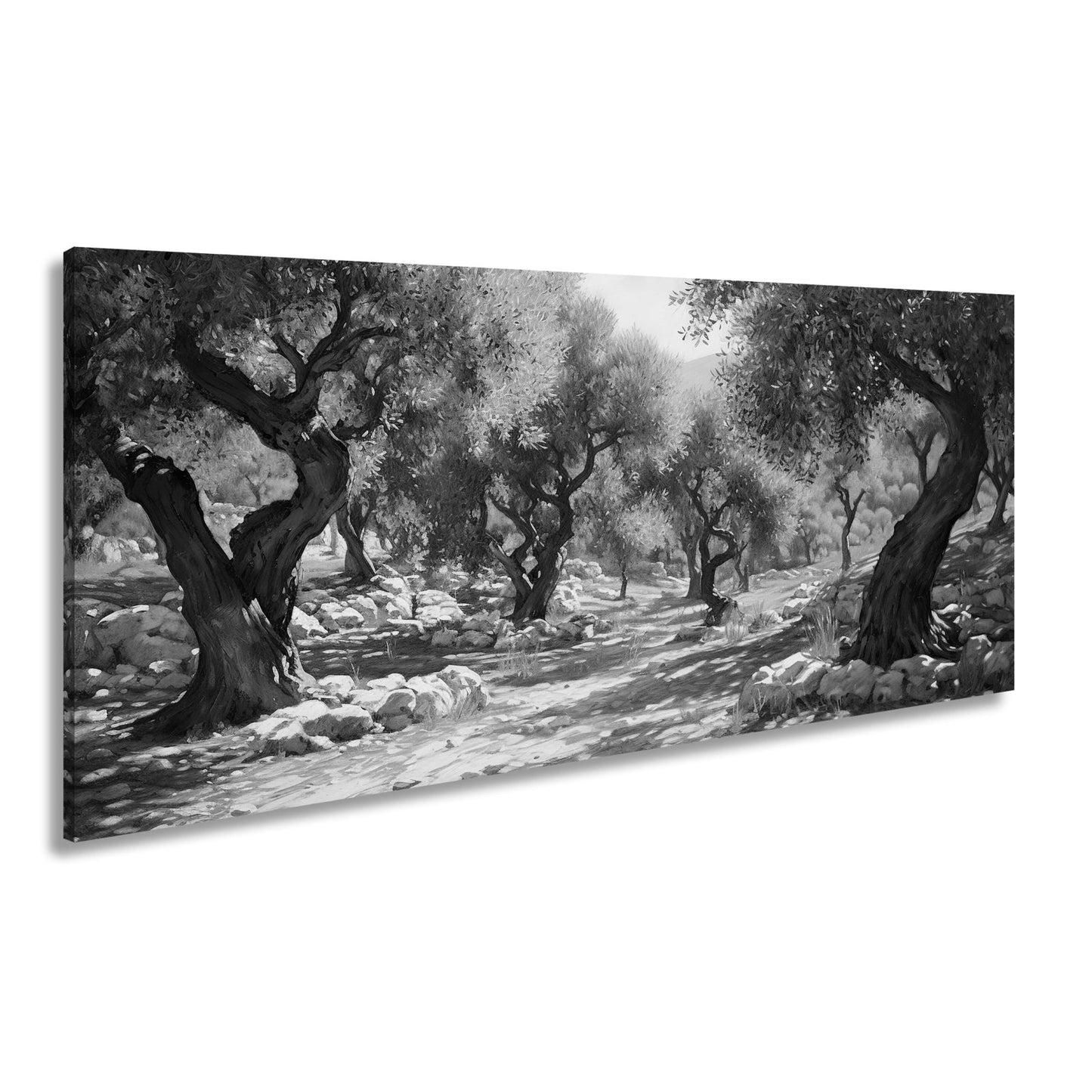 Leinwandbild Olivenhain XXL – Sonnendurchflutet voller mediterraner Ruhe - deyoli