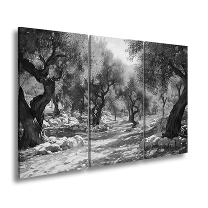 Leinwandbild Olivenhain XXL – Sonnendurchflutet voller mediterraner Ruhe - deyoli