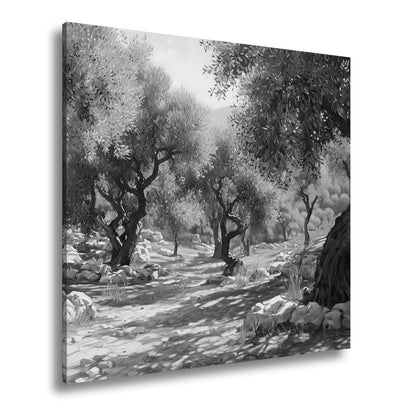 Leinwandbild Olivenhain XXL – Sonnendurchflutet voller mediterraner Ruhe - deyoli