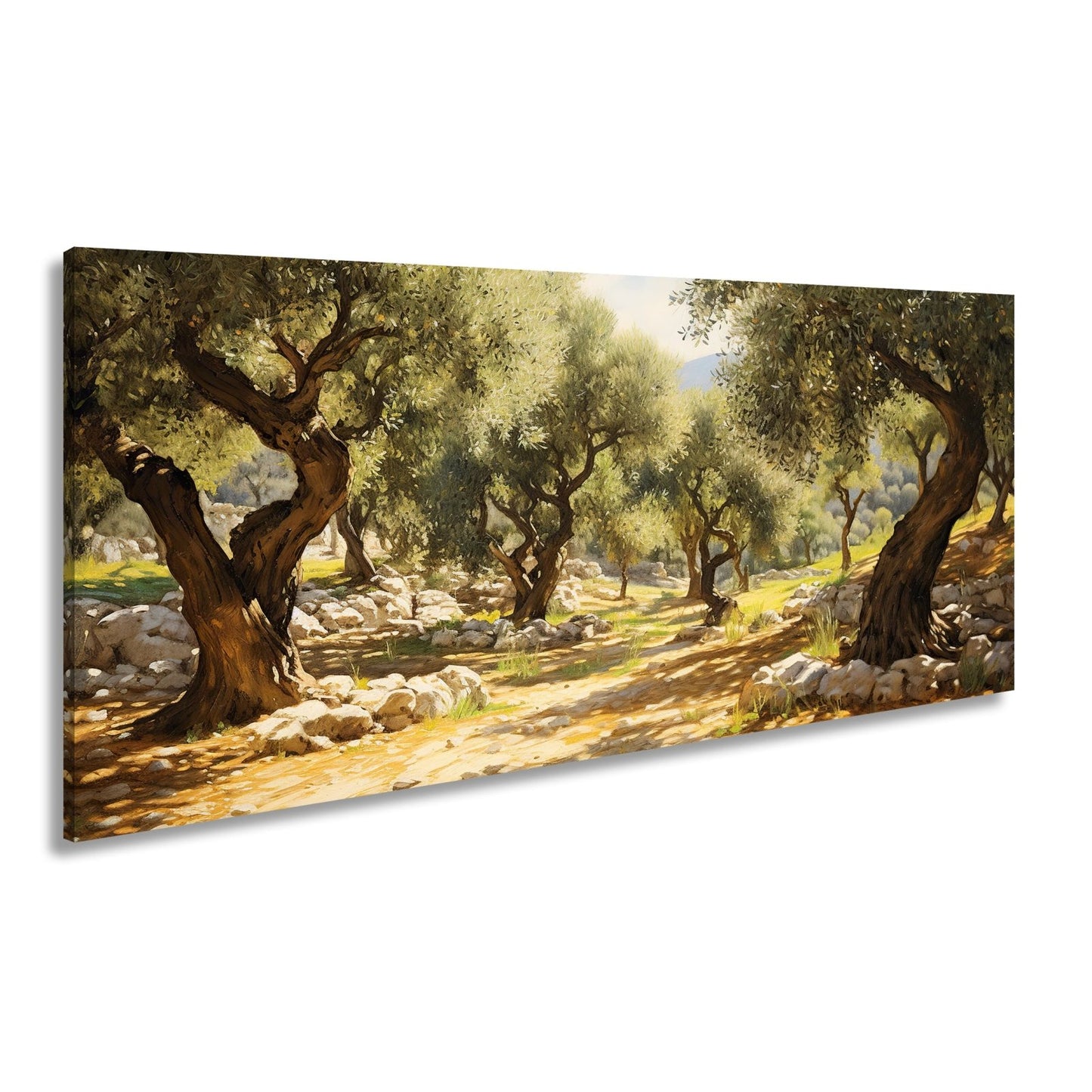 Leinwandbild Olivenhain XXL – Sonnendurchflutet voller mediterraner Ruhe - deyoli