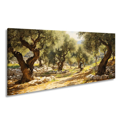 Leinwandbild Olivenhain XXL – Sonnendurchflutet voller mediterraner Ruhe - deyoli