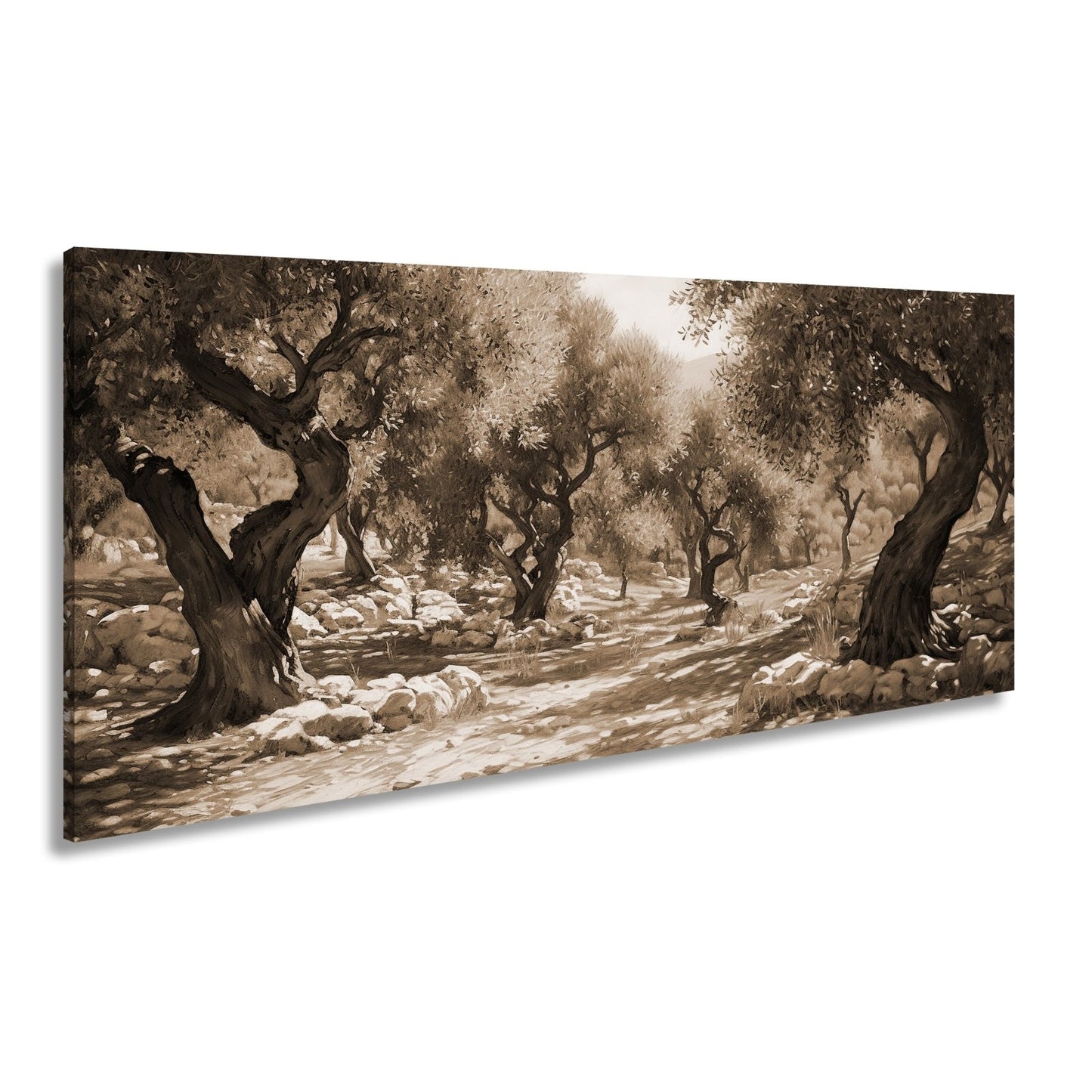 Leinwandbild Olivenhain XXL – Sonnendurchflutet voller mediterraner Ruhe - deyoli