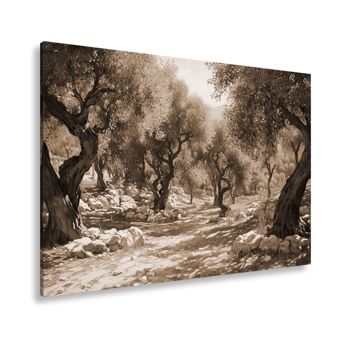 Leinwandbild Olivenhain XXL – Sonnendurchflutet voller mediterraner Ruhe - deyoli