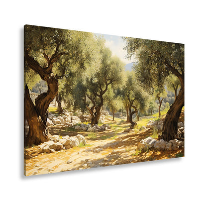 Leinwandbild Olivenhain XXL – Sonnendurchflutet voller mediterraner Ruhe - deyoli