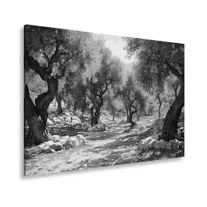 Leinwandbild Olivenhain XXL – Sonnendurchflutet voller mediterraner Ruhe - deyoli