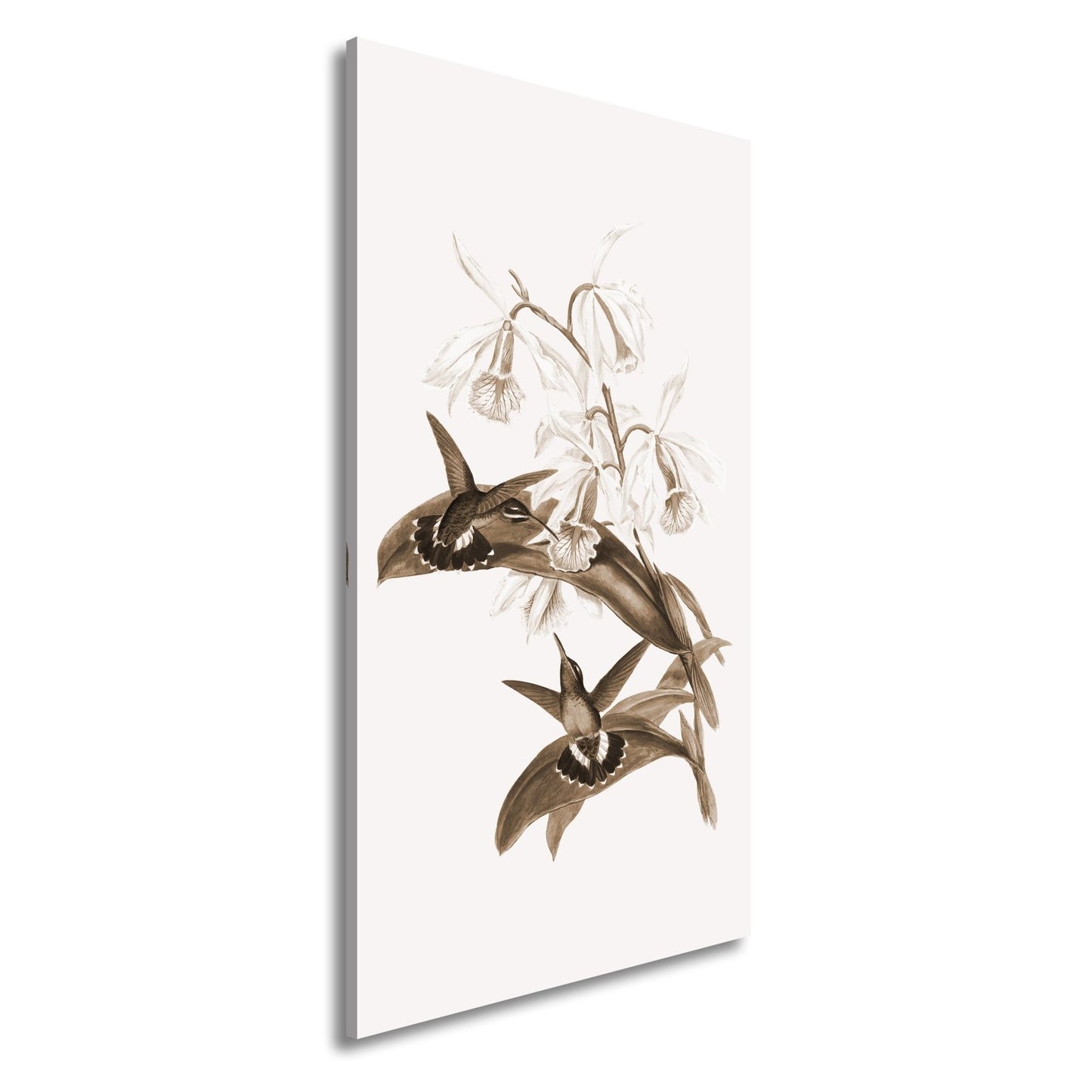 Leinwandbild Orchideen und Kolibris tanzen in zarter Naturharmonie - deyoli