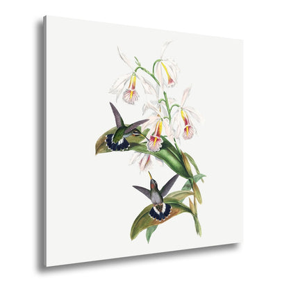 Leinwandbild Orchideen und Kolibris tanzen in zarter Naturharmonie - deyoli