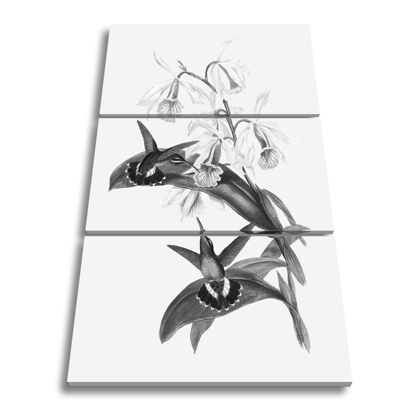 Leinwandbild Orchideen und Kolibris tanzen in zarter Naturharmonie - deyoli
