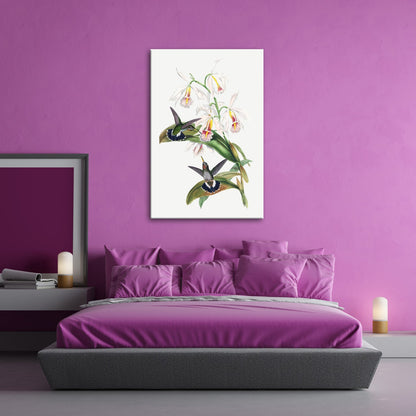 Leinwandbild Orchideen und Kolibris tanzen in zarter Naturharmonie - deyoli