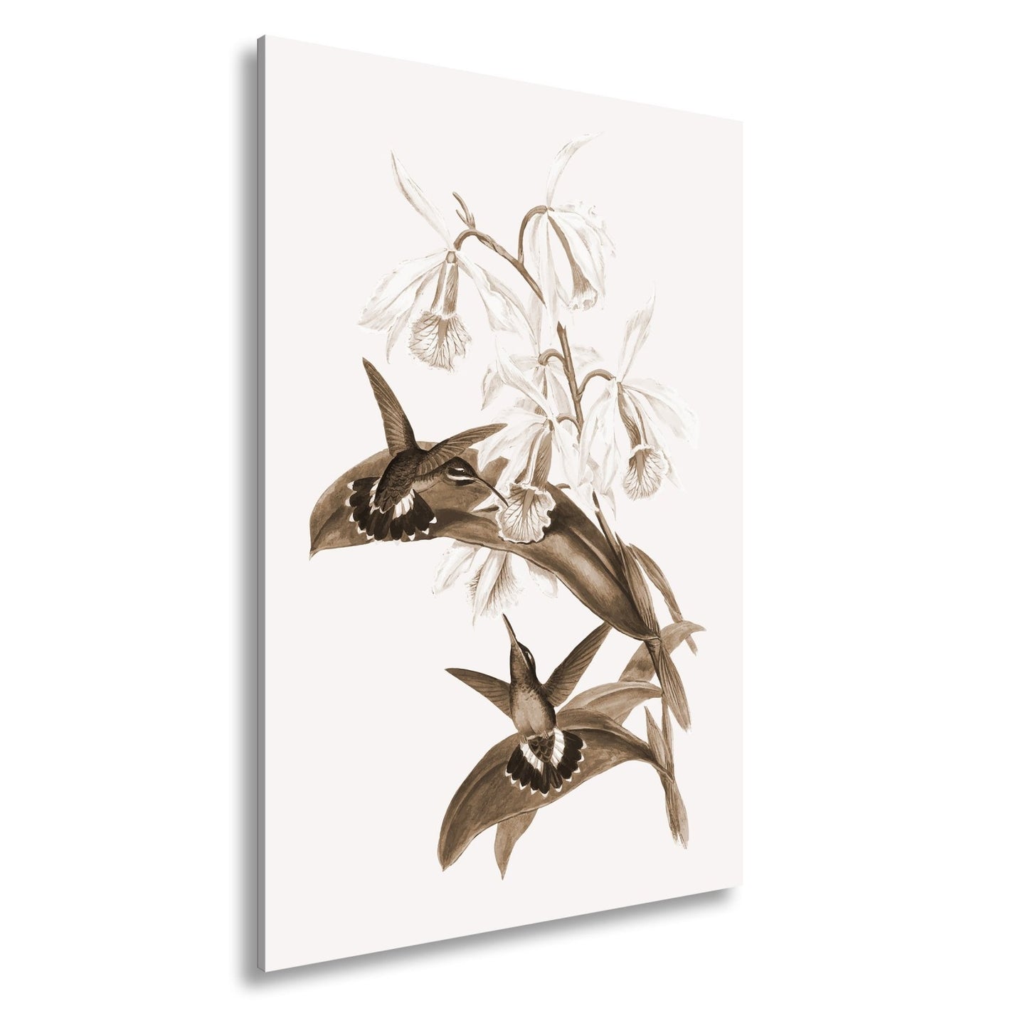 Leinwandbild Orchideen und Kolibris tanzen in zarter Naturharmonie - deyoli